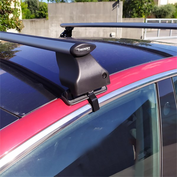 Takr&auml;cke TWINNY LOAD - tesla model 3